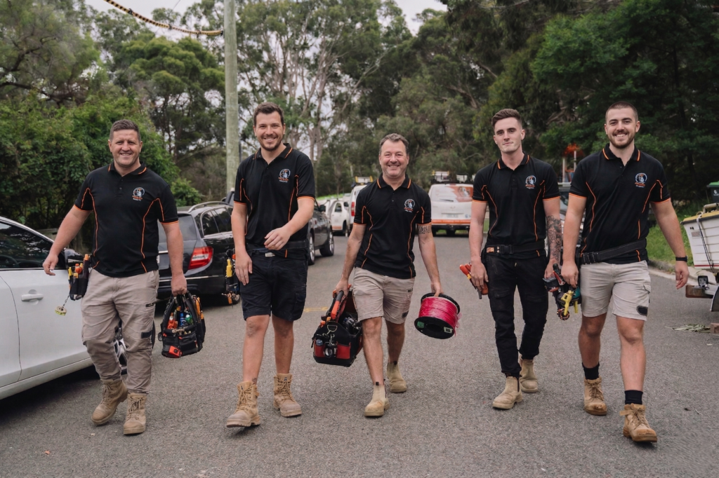 Professional electrical services in Greenacre
